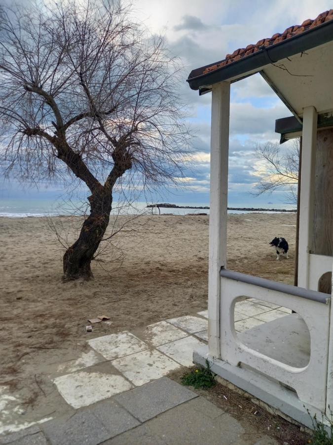 Bilocale Climatizzato A 850M Dalla Spiaggia Casa Katia 마리나디마사 외부 사진